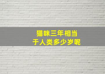 猫咪三年相当于人类多少岁呢