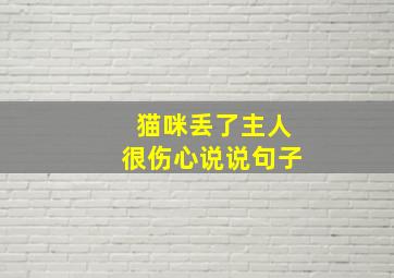 猫咪丢了主人很伤心说说句子