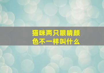 猫咪两只眼睛颜色不一样叫什么