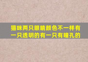 猫咪两只眼睛颜色不一样有一只透明的有一只有曈孔的