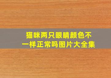 猫咪两只眼睛颜色不一样正常吗图片大全集