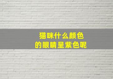 猫咪什么颜色的眼睛呈紫色呢