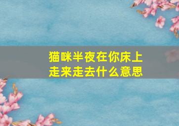 猫咪半夜在你床上走来走去什么意思