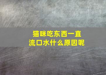 猫咪吃东西一直流口水什么原因呢