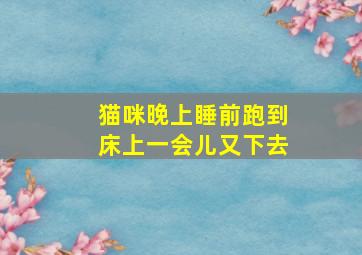 猫咪晚上睡前跑到床上一会儿又下去