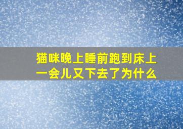 猫咪晚上睡前跑到床上一会儿又下去了为什么