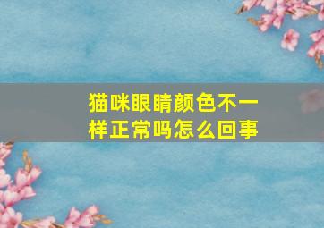 猫咪眼睛颜色不一样正常吗怎么回事