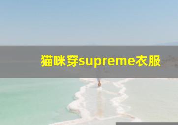 猫咪穿supreme衣服