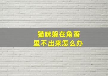 猫咪躲在角落里不出来怎么办