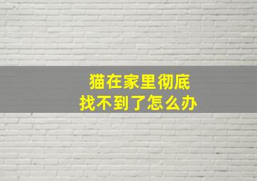 猫在家里彻底找不到了怎么办