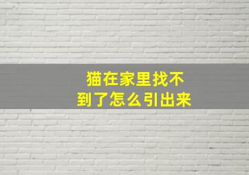 猫在家里找不到了怎么引出来