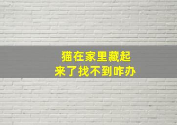 猫在家里藏起来了找不到咋办