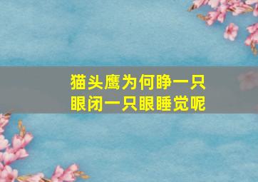 猫头鹰为何睁一只眼闭一只眼睡觉呢