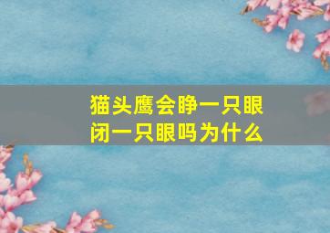 猫头鹰会睁一只眼闭一只眼吗为什么