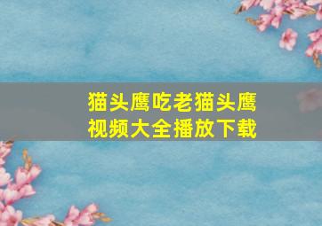 猫头鹰吃老猫头鹰视频大全播放下载