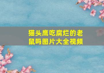 猫头鹰吃腐烂的老鼠吗图片大全视频