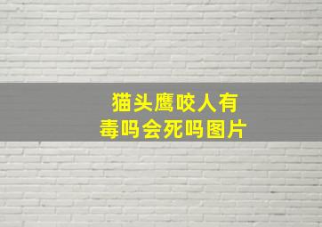 猫头鹰咬人有毒吗会死吗图片