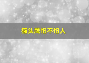 猫头鹰怕不怕人