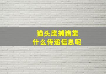 猫头鹰捕猎靠什么传递信息呢