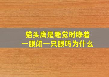 猫头鹰是睡觉时睁着一眼闭一只眼吗为什么