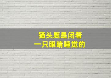 猫头鹰是闭着一只眼睛睡觉的