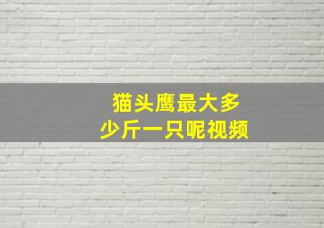 猫头鹰最大多少斤一只呢视频