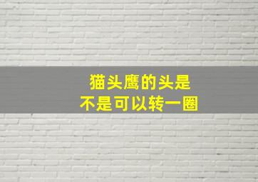 猫头鹰的头是不是可以转一圈