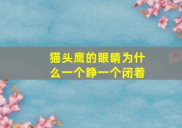 猫头鹰的眼睛为什么一个睁一个闭着