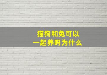 猫狗和兔可以一起养吗为什么