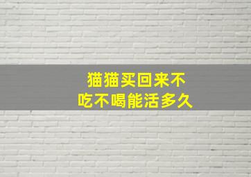 猫猫买回来不吃不喝能活多久