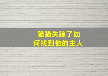 猫猫失踪了如何找到他的主人