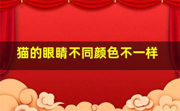 猫的眼睛不同颜色不一样