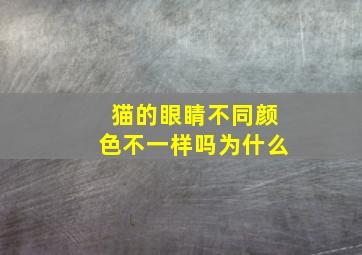 猫的眼睛不同颜色不一样吗为什么