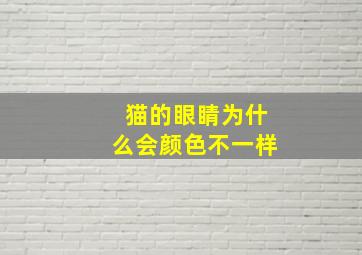 猫的眼睛为什么会颜色不一样