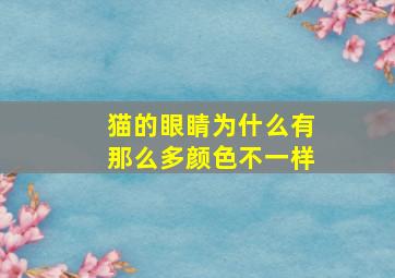 猫的眼睛为什么有那么多颜色不一样