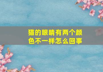 猫的眼睛有两个颜色不一样怎么回事