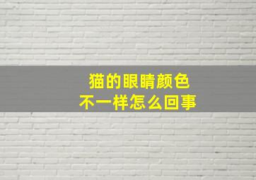 猫的眼睛颜色不一样怎么回事