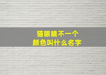 猫眼睛不一个颜色叫什么名字