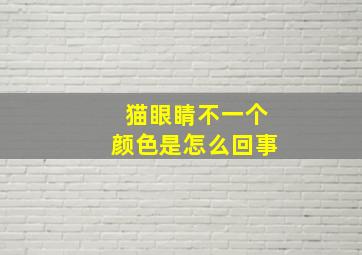 猫眼睛不一个颜色是怎么回事