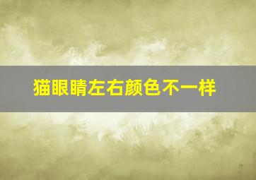 猫眼睛左右颜色不一样