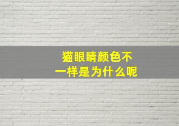 猫眼睛颜色不一样是为什么呢