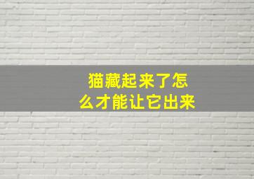 猫藏起来了怎么才能让它出来