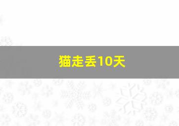 猫走丢10天