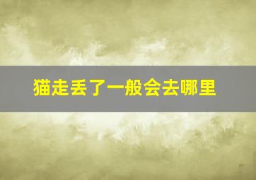 猫走丢了一般会去哪里