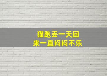 猫跑丢一天回来一直闷闷不乐