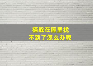 猫躲在屋里找不到了怎么办呢