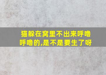 猫躲在窝里不出来呼噜呼噜的,是不是要生了呀