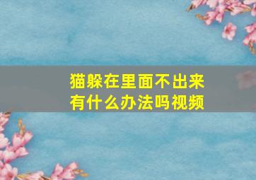 猫躲在里面不出来有什么办法吗视频