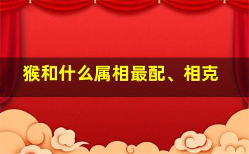 猴和什么属相最配、相克