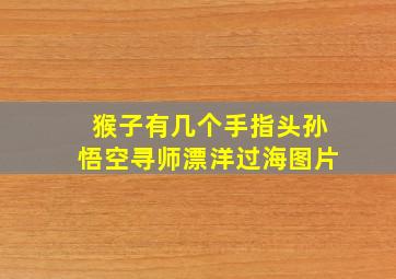 猴子有几个手指头孙悟空寻师漂洋过海图片